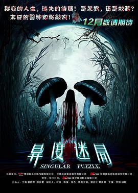 电影：异度迷局