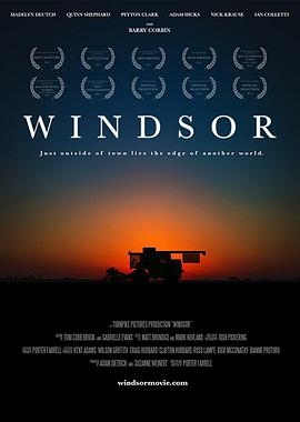 电影：温莎之谜