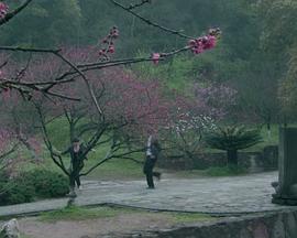 电影：梦寻桃花源