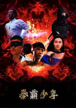 电影：拳霸少年