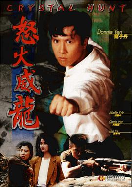 电影：怒火威龙