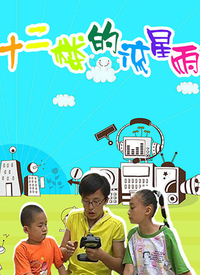 电影：十二楼的流星雨第二部