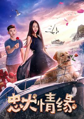 电影：忠犬情缘