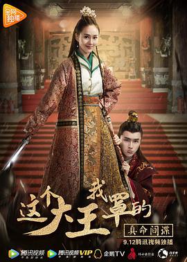 电影：这个大王我罩的：真命间谍