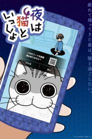 电影：今晚有猫伴身边