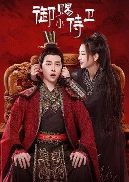 电影：御赐小侍卫
