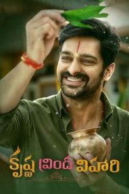 电影：追爱谎言