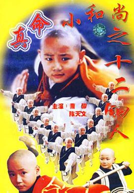 电影：真命小和尚之十二铜人