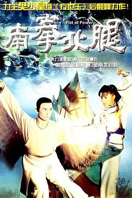 电影:南拳北腿国语版