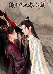 电影：缘来你是苏小姐