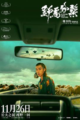 电影：野马分鬃