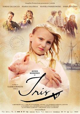 电影：海边画家