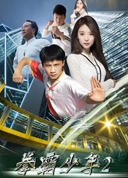 电影：拳霸少年2