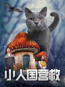 电影：小人国营救