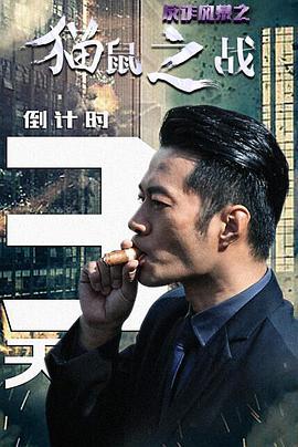 电影：反诈风暴之猫鼠之战