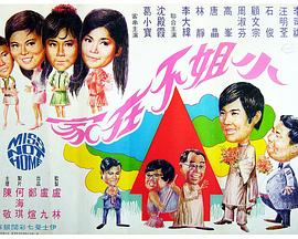 电影：小姐不在家