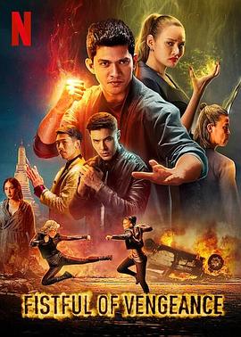 电影：复仇铁拳