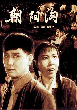 电影：朝阳沟