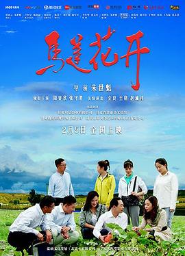 电影：马莲花开