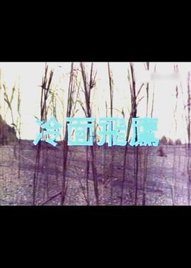 电影：冷面飞鹰