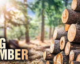 电影：终极伐木达人第二季