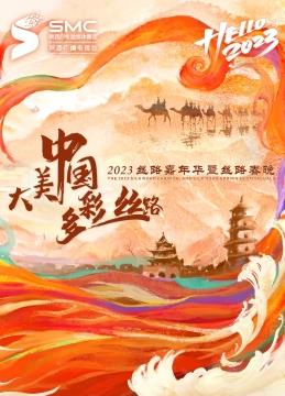 电影：2023陕西卫视丝路嘉年华