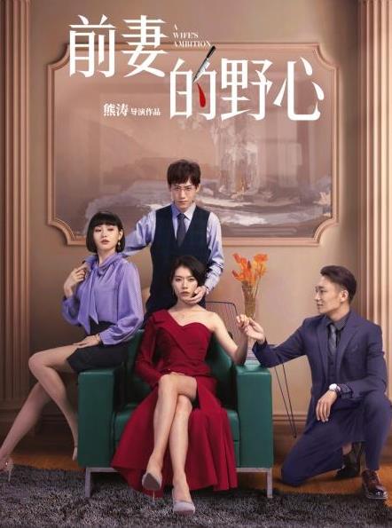 电影：前妻的野心