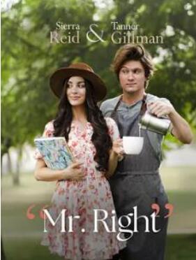 电影：意中人2023