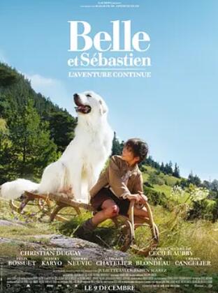 电影：灵犬雪莉：冒险再出发