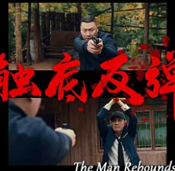 电影：触底反弹2024