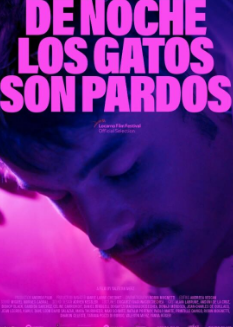 电影：晚上所有的猫都是黑的