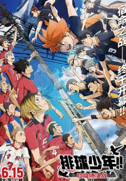 电影：排球少年！！垃圾场决战