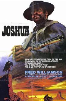 电影：荒野黑煞星