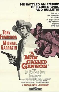 电影：原野独行侠