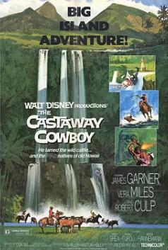 电影：落魄牛仔