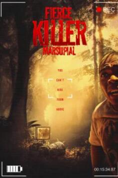 电影：凶残的杀手