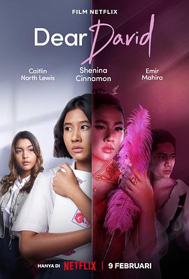 电影：亲爱的大卫