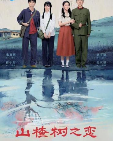 电影：山楂树之恋2025