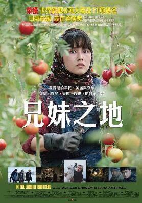 电影：同一片土地