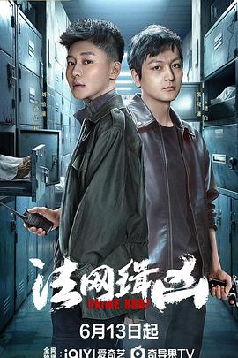 电影：法网缉凶