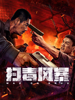 电影：扫毒风暴2025：电影版