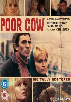 电影：可怜的母牛