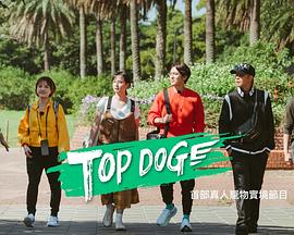 电影：TOP DOG