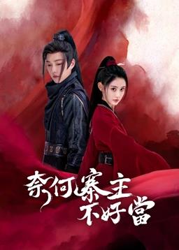 电影：奈何寨主不好当