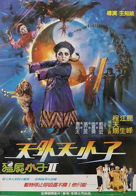 电影：天外天小子