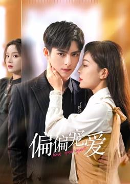 电影：偏偏宠爱