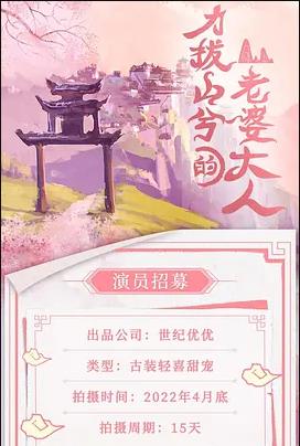 电影：力拔山兮的老婆大人