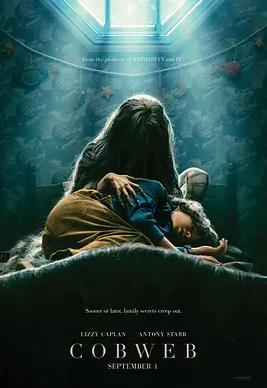 电影：蛛网男孩