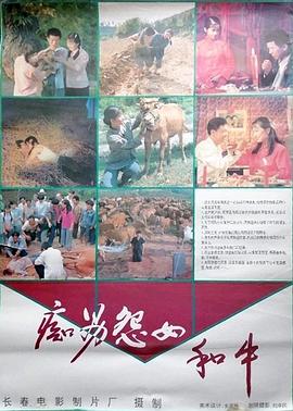 电影：痴男怨女和牛