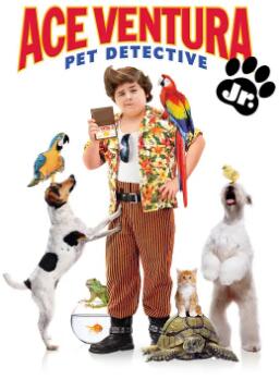 电影：神探飞机头3